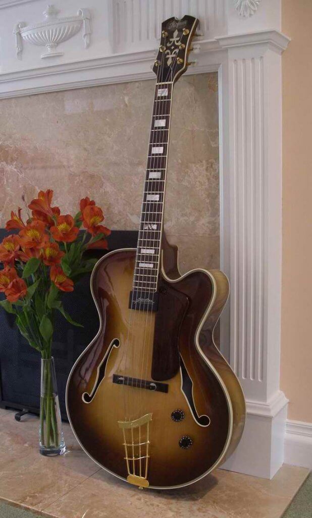 Höfner AZ Special Single cutaway Archtop guitar The Guitar database